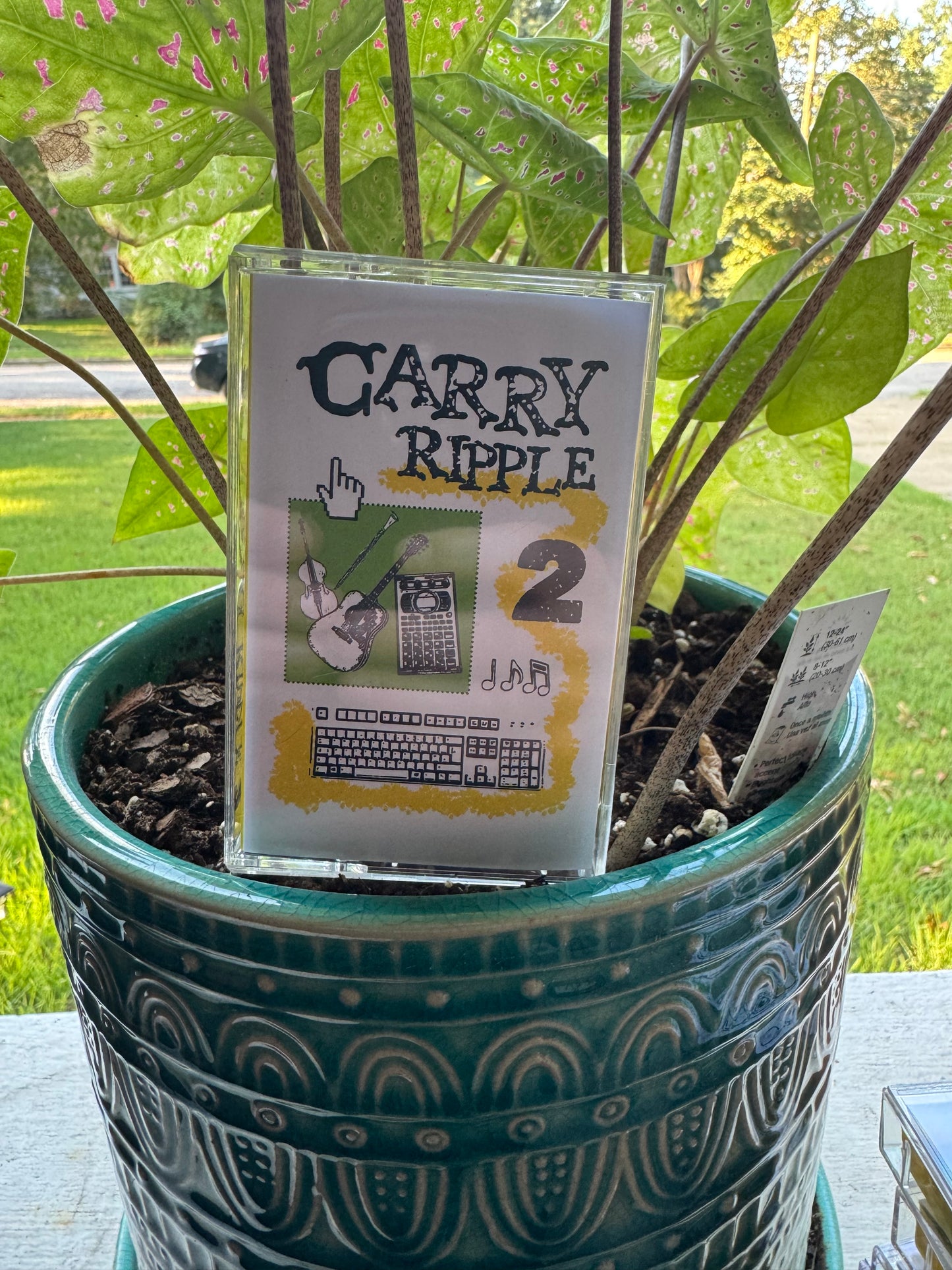 Carry ripple 2 cassette